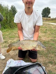 Common Carp