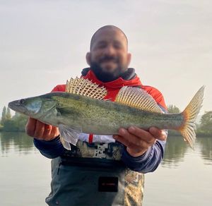 Zander