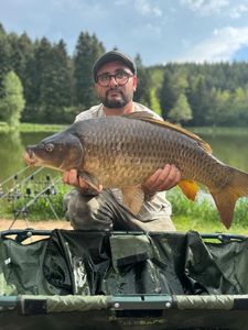 Common Carp