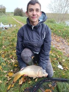 Common Carp