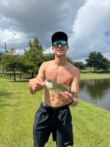 Smallmouth Bass