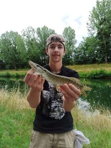 Northern Pike