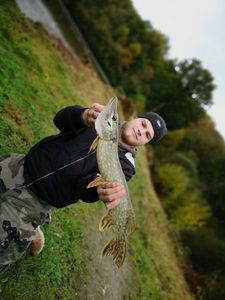 Northern Pike