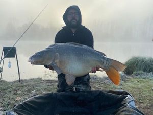 Mirror Carp