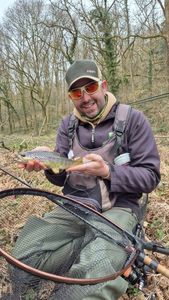 Brown Trout