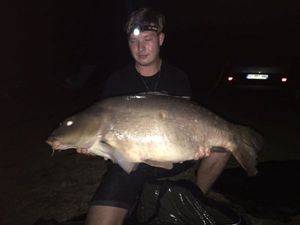 Mirror Carp