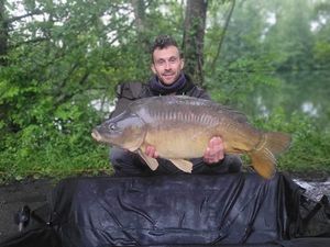 Common Carp
