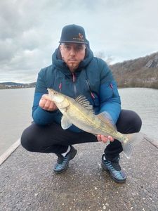 Zander