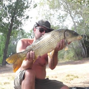 Common Carp