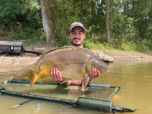 Mirror Carp