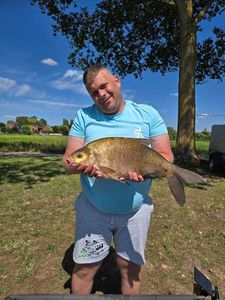 Common Bream