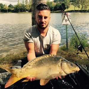 Mirror Carp