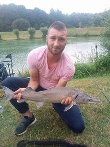 Sturgeon