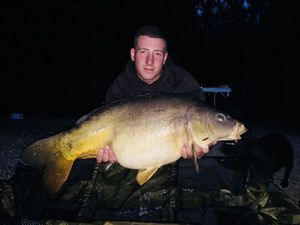 Mirror Carp