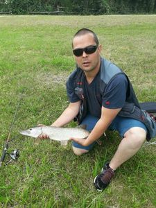 Northern Pike