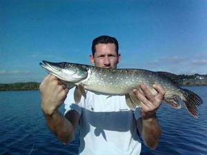 Northern Pike