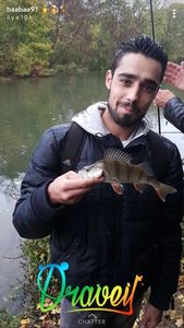 European Perch