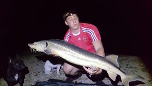 Sturgeon