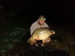 Mirror Carp