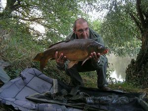 Mirror Carp