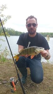 European Perch