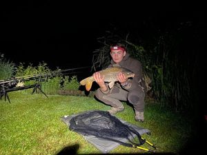 Common Carp