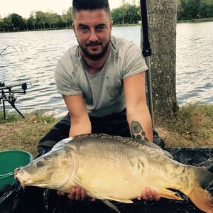 Mirror Carp