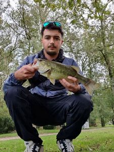 Largemouth Bass