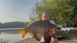 Mirror Carp