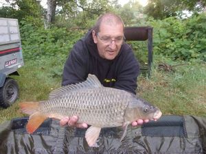 Common Carp