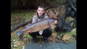 Common Carp