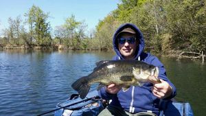 Largemouth Bass