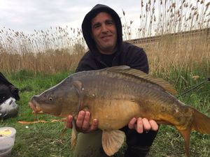 Mirror Carp