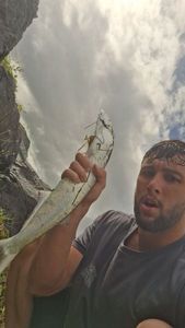 Largehead Hairtail
