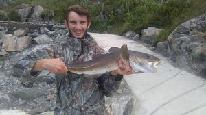 Atlantic Cod (Baltic)
