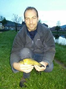 Tench
