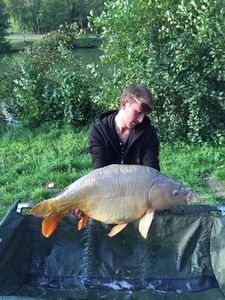 Mirror Carp
