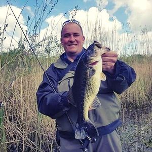 Largemouth Bass