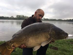 Mirror Carp