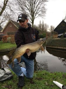 Northern Pike