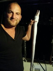 Conger