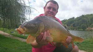 Mirror Carp