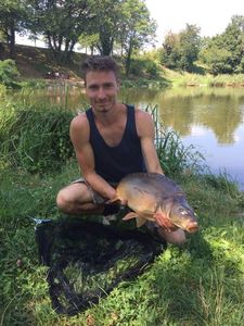 Mirror Carp