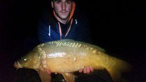 Mirror Carp