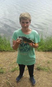 European Perch
