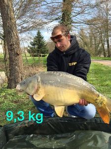 Mirror Carp