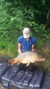 Mirror Carp