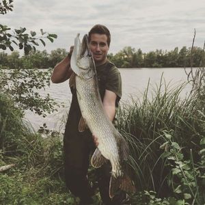 Northern Pike