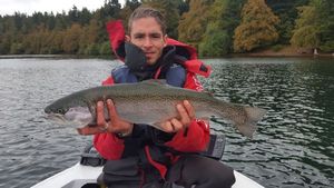 Rainbow Trout