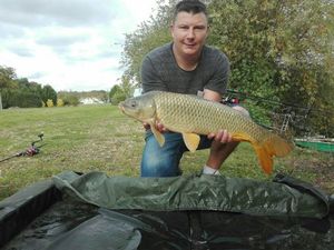 Common Carp